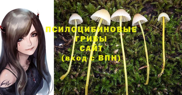 трава Вяземский