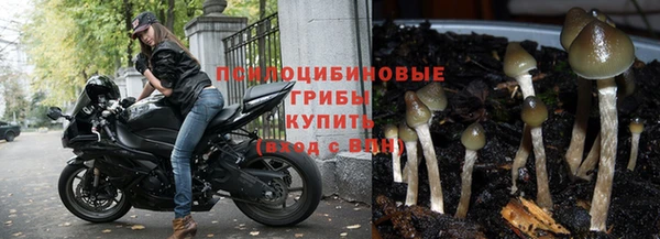 каннабис Вязники